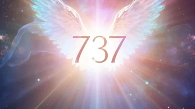 737 Angel Number Meaning